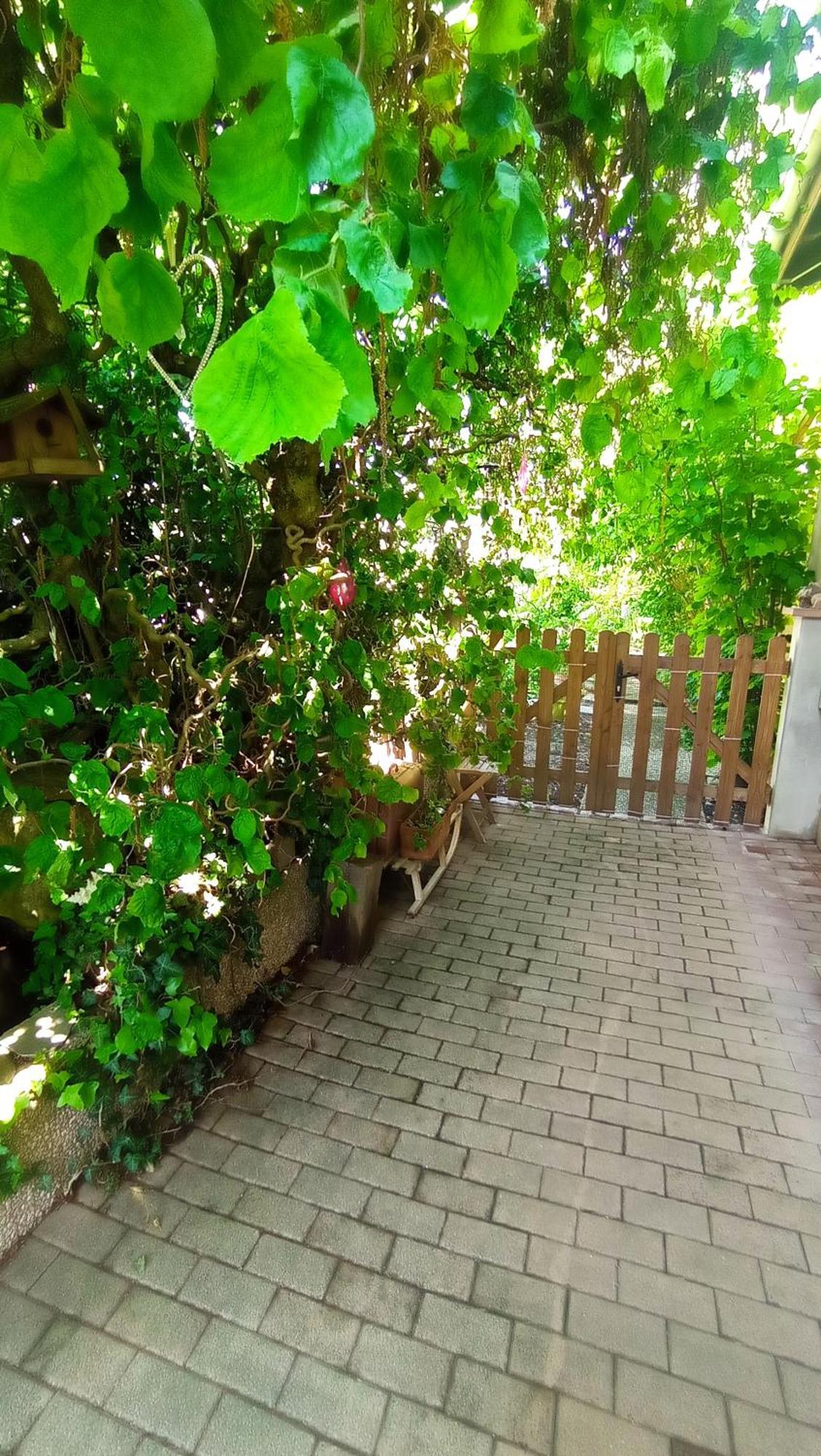 Garden Duplex Apartment Sundhoffen Luaran gambar