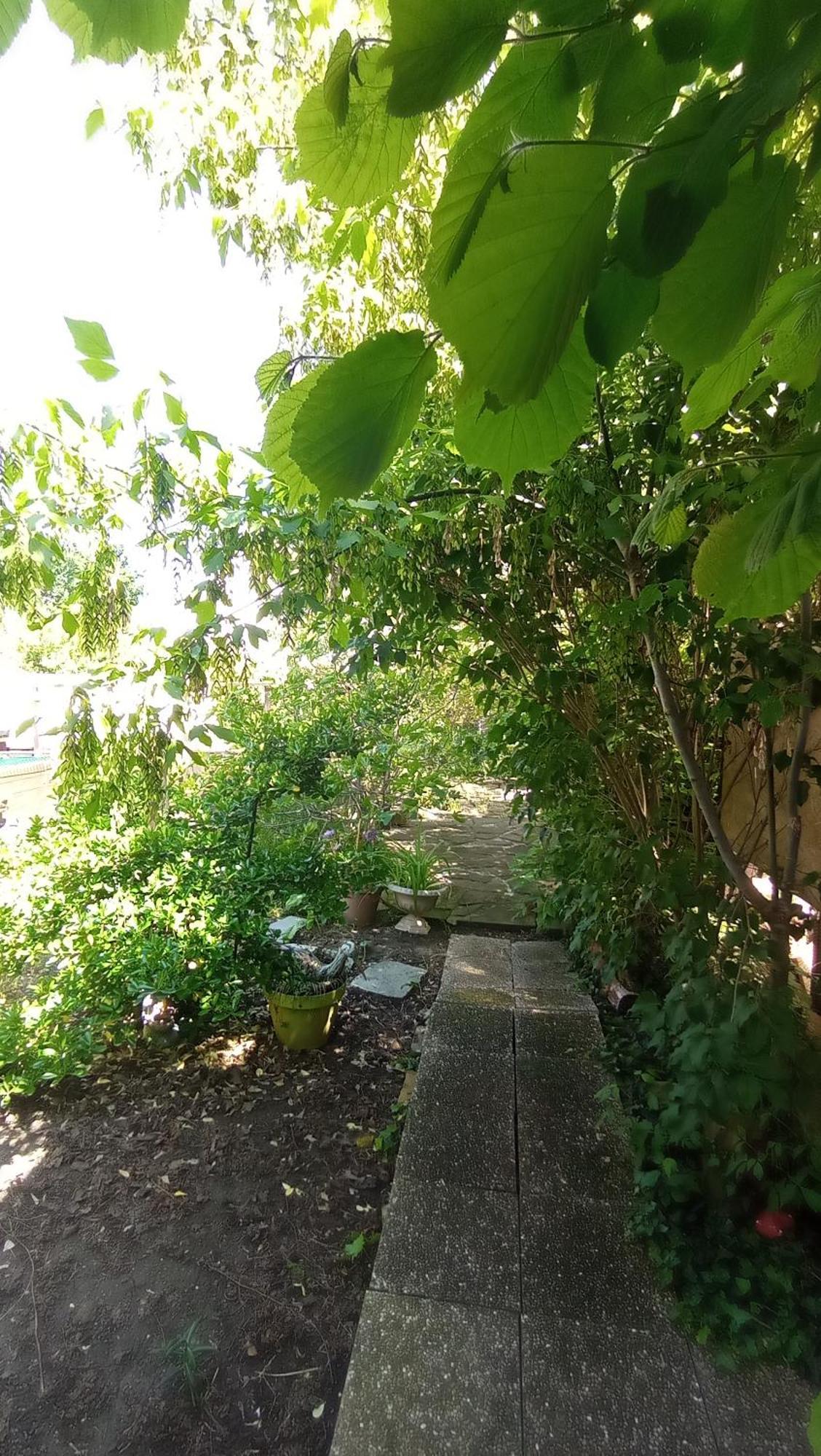 Garden Duplex Apartment Sundhoffen Luaran gambar